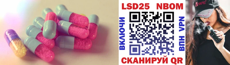 закладки  Западная Двина  ссылка на мегу как зайти  Лсд 25 экстази кислота 