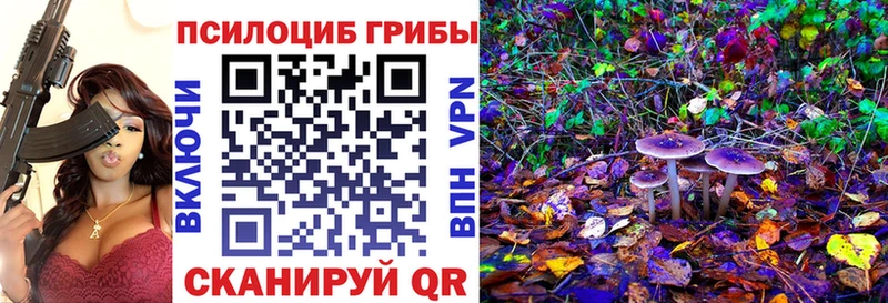 Псилоцибиновые грибы прущие грибы  где продают   Западная Двина 