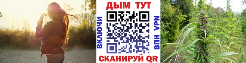 Бошки марихуана сатива купить закладку Западная Двина